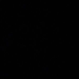 Meet your Posher, Ky